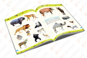 Book Design,  Children Book,  Graphic Design,  Printing Press,  Print Demand