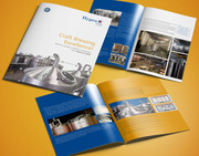 Are you looking for brochure design agency for your business?